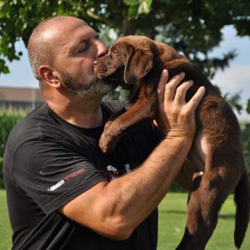 In ALLEVAMENTO DI LABRADOR  RELAZIONE COI CUCCIOLI